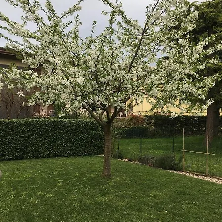 Apartamento Francesco *