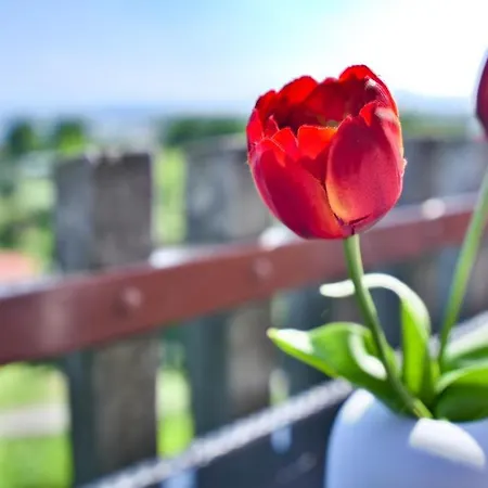 Appartamento Casa Christina Rentals-24 Peschiera del Garda