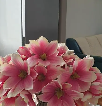 Rosy Appartement Peschiera del Garda