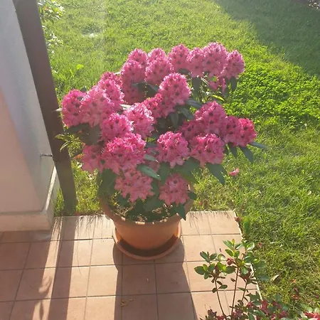 Da Riki Casa de férias Peschiera del Garda