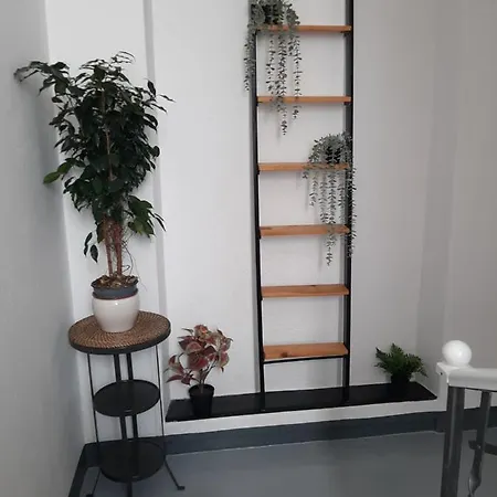 Apartment Vinessa