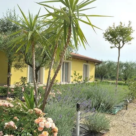 Paradiso Degli Ulivi * Peschiera del Garda