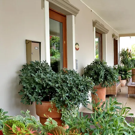 Hotel Garden 3*