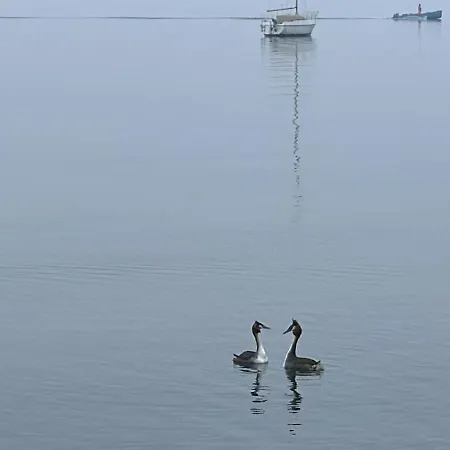 Apartment Residenza Giovanni Fronte Lago - Garda Lago *