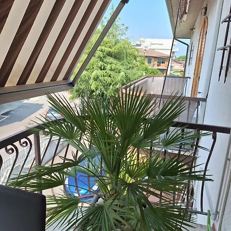 Mini Paradise