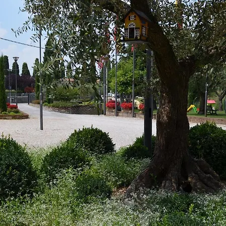 Hotel Olioso 3*