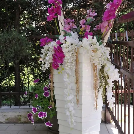 Gasthof La Casa Dei Nonni Sul Garda Peschiera del Garda