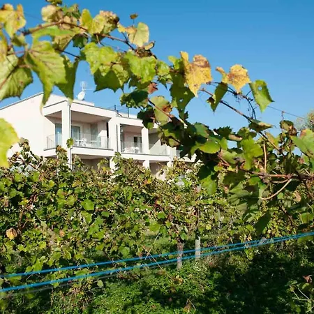 Turistica Il Vigneto Peschiera del Garda