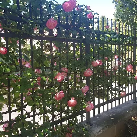 Appartamento Modenese 8