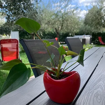 Lori Garden And Apartment Peschiera del Garda