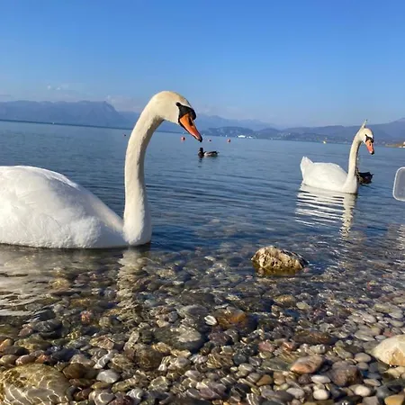 Garda Art&lake Peschiera del Garda