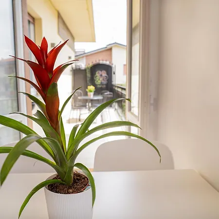 Apartment Bergamini 23 & Peschiera del Garda