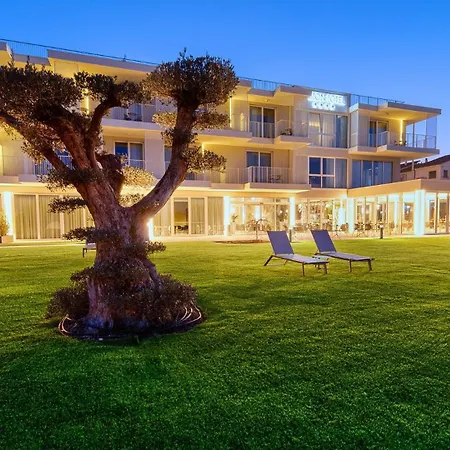 Hotel Vision 4*