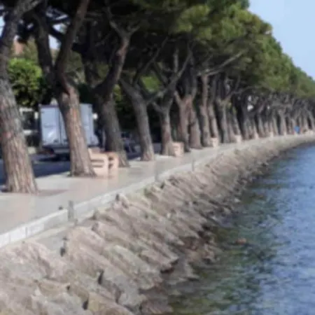 Apartment Casa Vilma Peschiera del Garda