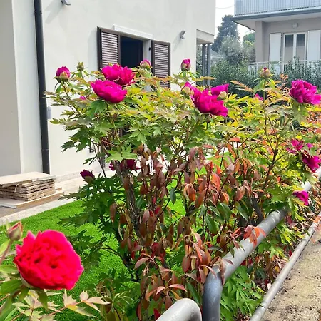 Ai Fiori Guest house Peschiera del Garda