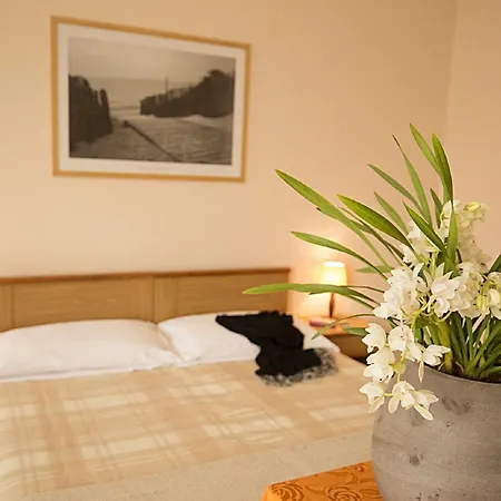 Hotel Buena Onda Hotel 3*