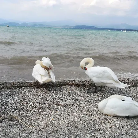 Gloria Peschiera del Garda