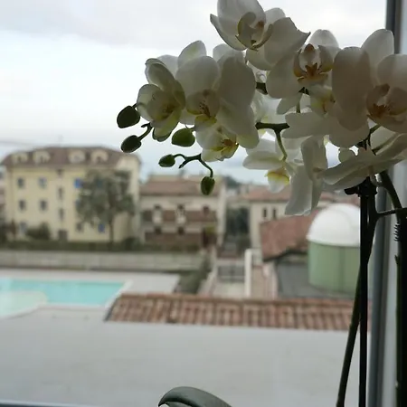 Homingarda - Fine Apartment