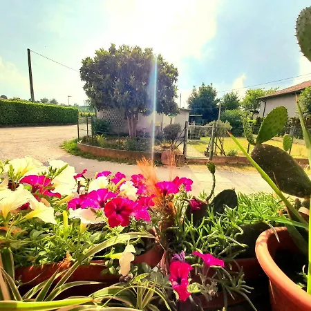 Guest house Zanina